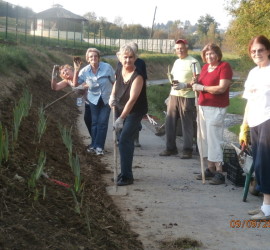 Matica umirovljenika Daruvar