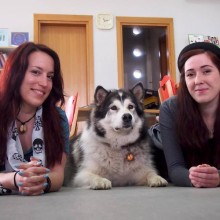 dk-marina-drzica (3)