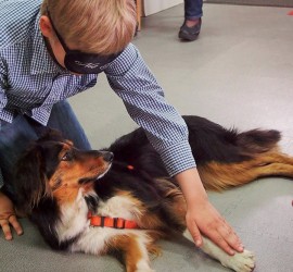 dk-marina-drzica (5)