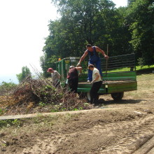 feniks (3)