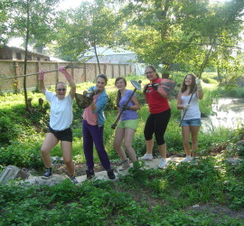 feniks (4)