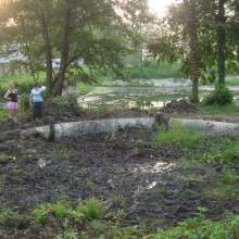 feniks (6)