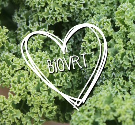 biovrt-logo